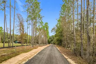 17610 NW 110th Ct, Reddick, FL 32686 - Photo 52