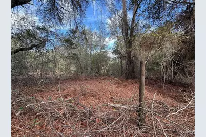 Tbd NE 194th Street, Citra, FL 32113 - Photo 4