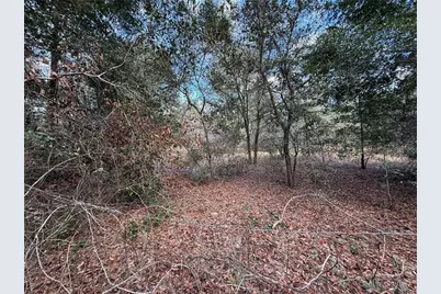 Tbd NE 194th Street, Citra, FL 32113 - Photo 2
