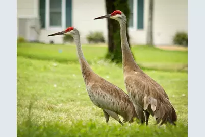 14422 SW 115th Circle, Dunnellon, FL 34432 - Photo 84