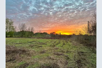 13844 NW 21st Court, Citra, FL 32113 - Photo 4