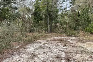 90 NE 132 Terrace, Williston, FL 32696 - Photo 10