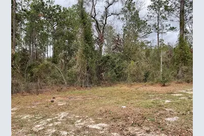 90 NE 132nd Terrace, Williston, FL 32696 - Photo 12