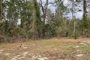 90 NE 132 Terrace, Williston, FL 32696 - Photo 12