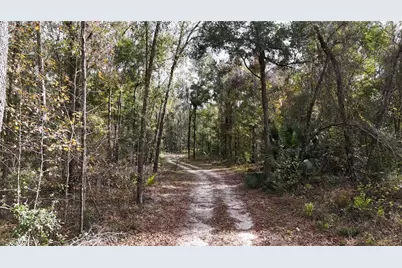 Irvine Acres #3 (10Ac) W Hwy 318, Reddick, FL 32686 - Photo 6
