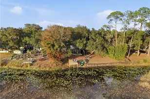 23422 NE 154th Place Rd, Salt Springs, FL 32134 - Photo 24