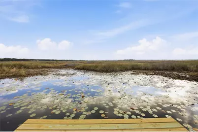 23422 NE 154th Place Road, Salt Springs, FL 32134 - Photo 1