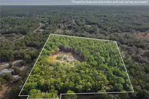 3041 S US Hwy 41, Dunnellon, FL 34432 - Photo 4