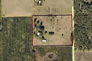 11475 167th Rd, Live Oak, FL 32060 - Photo 4