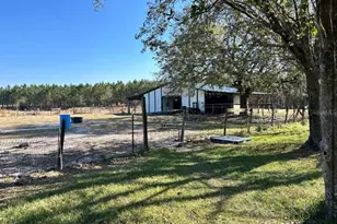 11475 167th Rd, Live Oak, FL 32060 - Photo 10