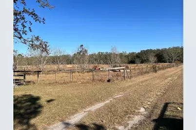 11475 167th Road, Live Oak, FL 32060 - Photo 6