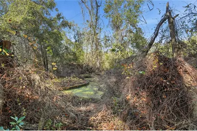 3932 County Road 507, Wildwood, FL 34785 - Photo 4