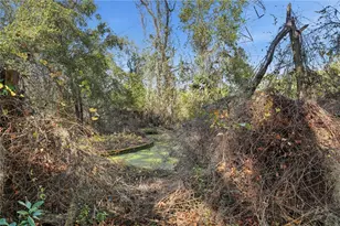 3932 Co Rd 507, Wildwood, FL 34785 - Photo 4