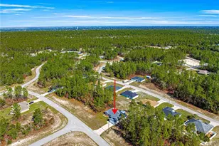 13057 SW 85th Cir, Ocala, FL 34473 - Photo 32