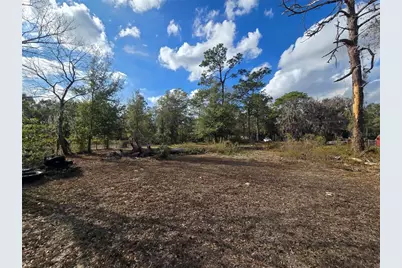 4610 N Ellen Point, Crystal River, FL 34428 - Photo 12