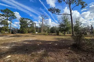 4610 N Ellen Point, Crystal River, FL 34428 - Photo 1