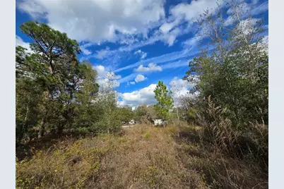 4610 N Ellen Point, Crystal River, FL 34428 - Photo 10