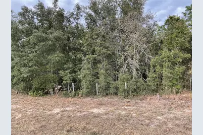 Tbd E Levy Street, Williston, FL 32696 - Photo 2