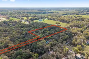 5538 SE Hwy 42, Summerfield, FL 34491 - Photo 44