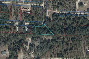 0 NE 50th Pl, Williston, FL 32696 - Photo 1