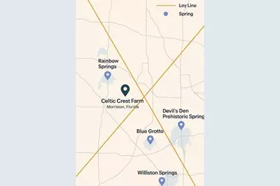 6250 SE 150th Avenue, Morriston, FL 32668 - Photo 42