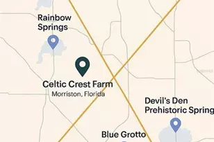 6250 SE 150th Ave, Morriston, FL 32668 - Photo 42