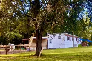 6250 SE 150 Ave, Morriston, FL 32668 - Photo 1