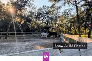6250 SE 150 Ave, Morriston, FL 32668 - Photo 46