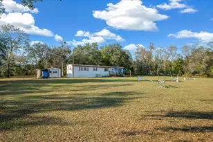 6250 SE 150th Ave, Morriston, FL 32668 - Photo 4