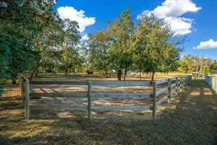 6250 SE 150th Ave, Morriston, FL 32668 - Photo 30