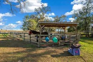 6250 SE 150th Ave, Morriston, FL 32668 - Photo 28