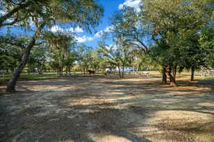 6250 SE 150th Ave, Morriston, FL 32668 - Photo 32