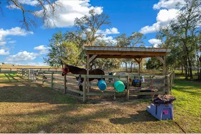 6250 SE 150th Avenue, Morriston, FL 32668 - Photo 30