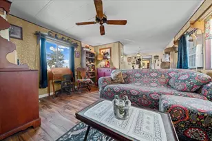 6250 SE 150 Ave, Morriston, FL 32668 - Photo 8