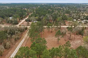 2090 SE 133rd Ct, Morriston, FL 32668 - Photo 52