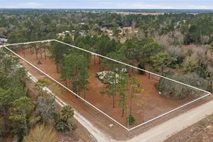 2090 SE 133rd Ct, Morriston, FL 32668 - Photo 2