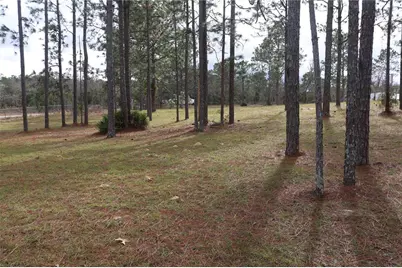2090 SE 133rd Court, Morriston, FL 32668 - Photo 6