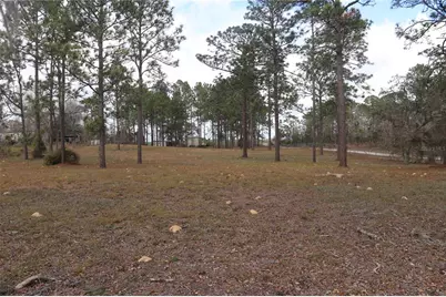 2090 SE 133rd Court, Morriston, FL 32668 - Photo 12