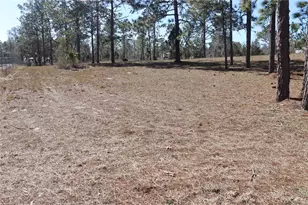 2090 SE 133rd Ct, Morriston, FL 32668 - Photo 30