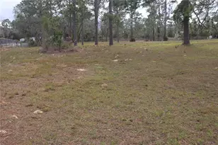 2090 SE 133rd Ct, Morriston, FL 32668 - Photo 14