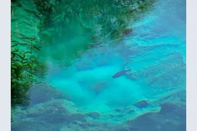 19176 SW 93rd Loop, Dunnellon, FL 34432 - Photo 54