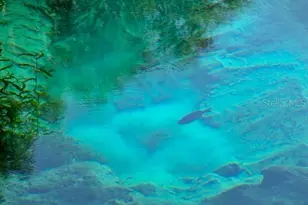 19176 SW 93rd Loop, Dunnellon, FL 34432 - Photo 54