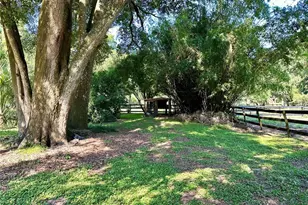 5625 NW 193rd Ln, Orange Lake, FL 32681 - Photo 38