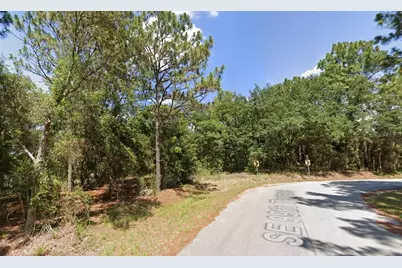 0 SE 121 Pl, Belleview, FL 34420 - Photo 6