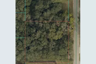 Tbd SE 94 Court, Summerfield, FL 34491 - Photo 1