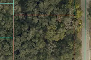 Tbd SE 94 Ct, Summerfield, FL 34491 - Photo 1