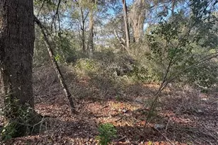 Locust Run Radial, Ocala, FL 34472 - Photo 1