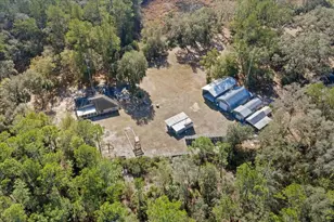 12359 NE Hwy 314, Silver Springs, FL 34488 - Photo 12