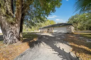 12359 NE Hwy 314, Silver Springs, FL 34488 - Photo 24