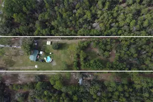 7201 NE 132nd Pl, Citra, FL 32113 - Photo 2